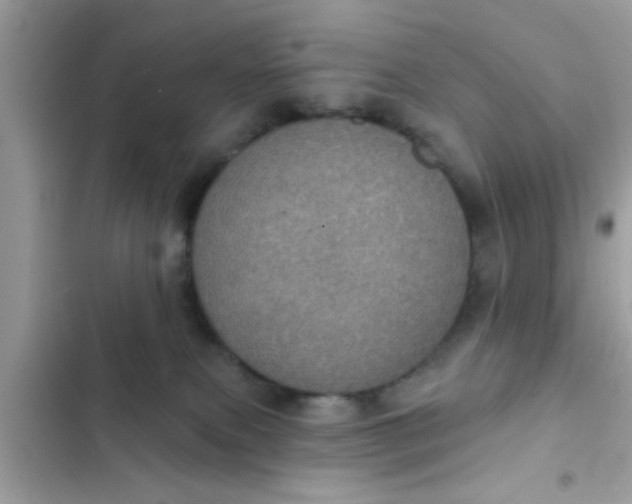 X0000102400087200808151952