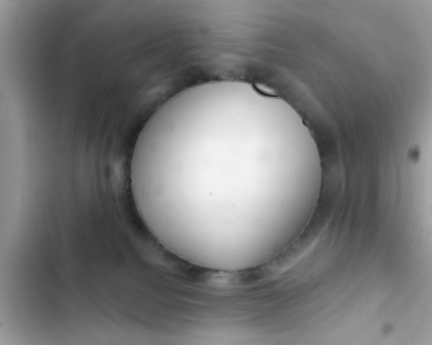 X0000102400088200808151952