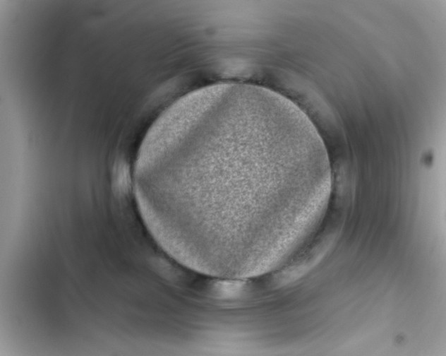 X0000102400089200808151952