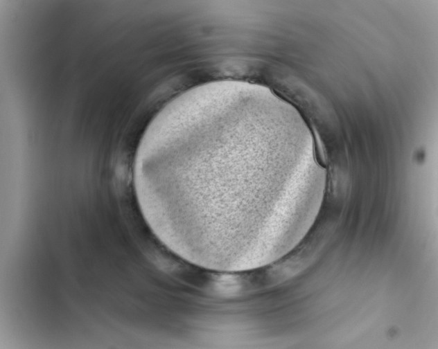 X0000102400091200808151952