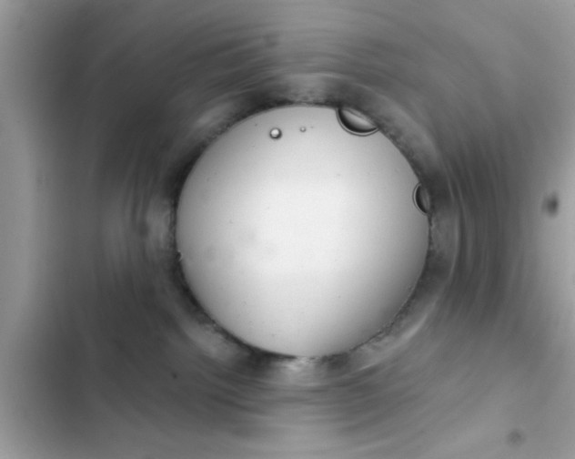 X0000102400092200808151952