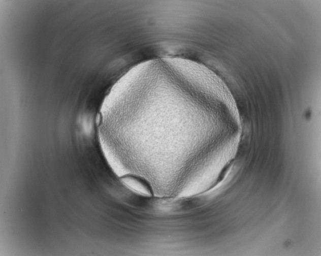 X0000102400094200808151953