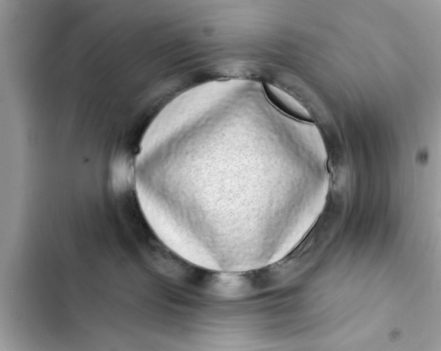 X0000102400095200808151953