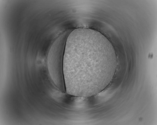 X0000102400096200808151953