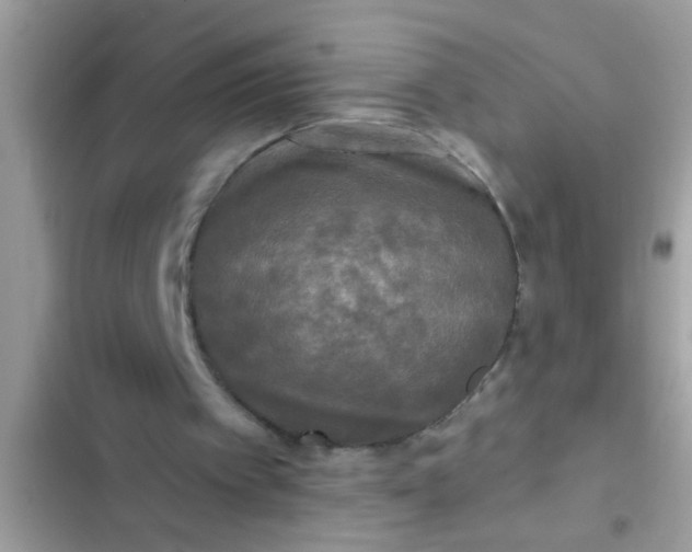 X0000102400097200808151952