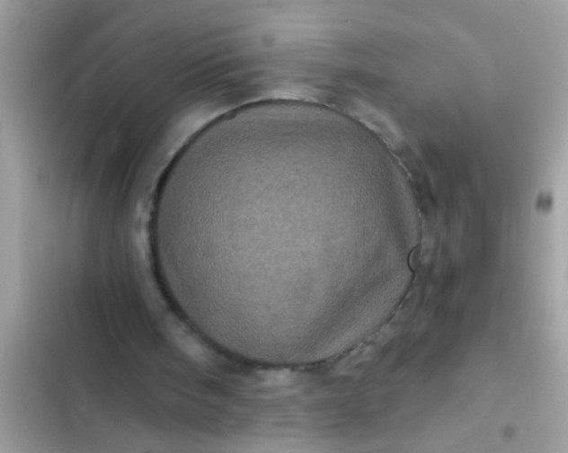 X0000102400098200808151952