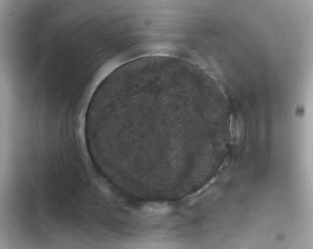 X0000102400099200808151952