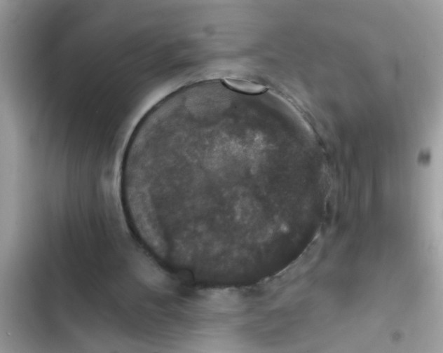 X0000102400100200808151952