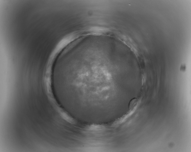 X0000102400101200808151952