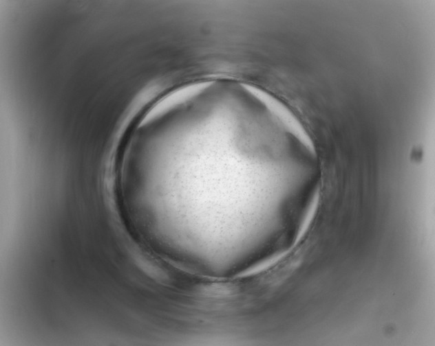 X0000102400102200808151952