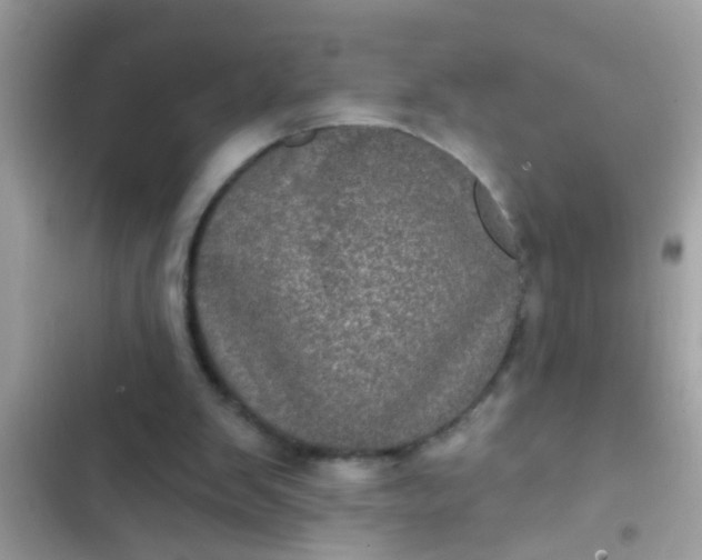 X0000102400103200808151952