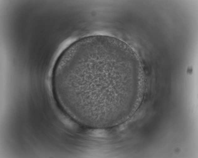 X0000102400104200808151952