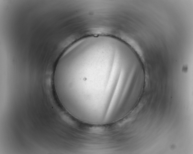 X0000102400105200808151952