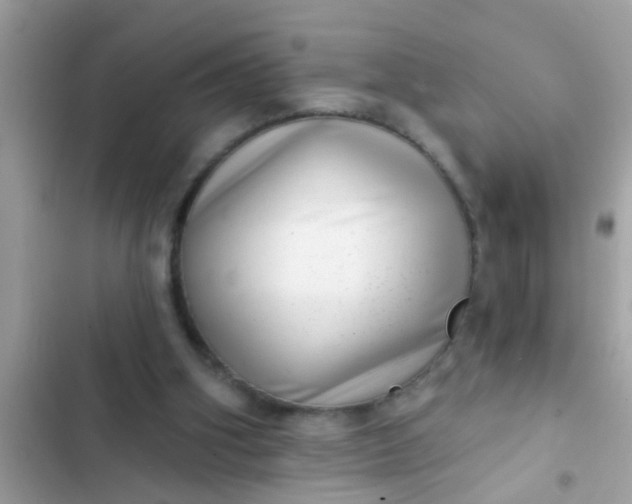 X0000102400106200808151952