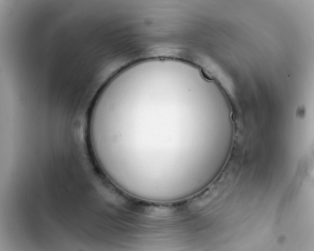 X0000102400107200808151952