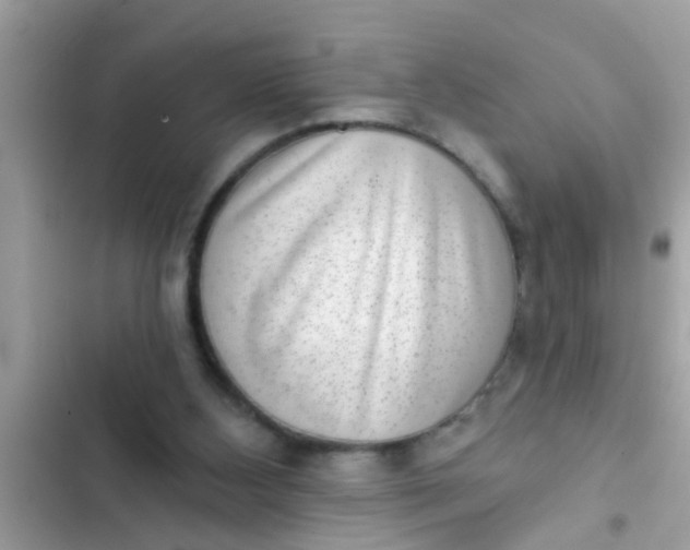 X0000102400108200808151952