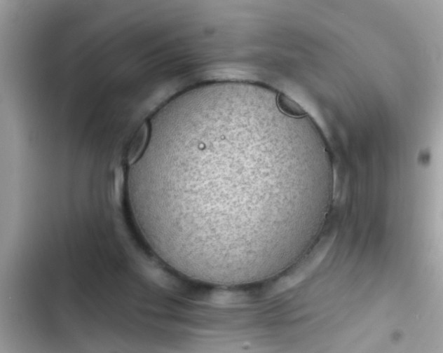 X0000102400109200808151952