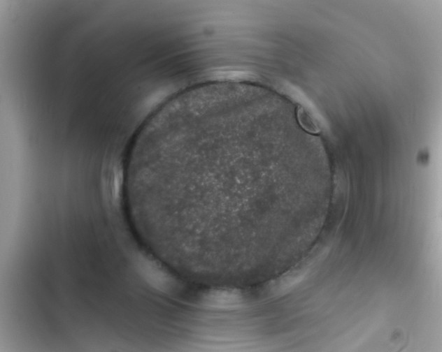 X0000102400110200808151952