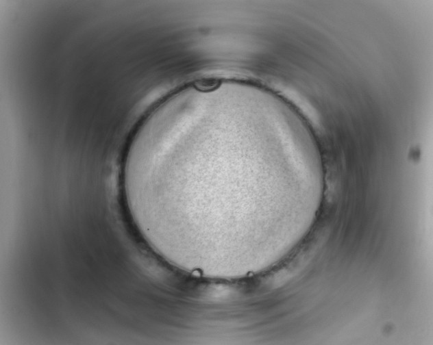 X0000102400111200808151952