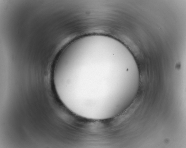 X0000102400112200808151952