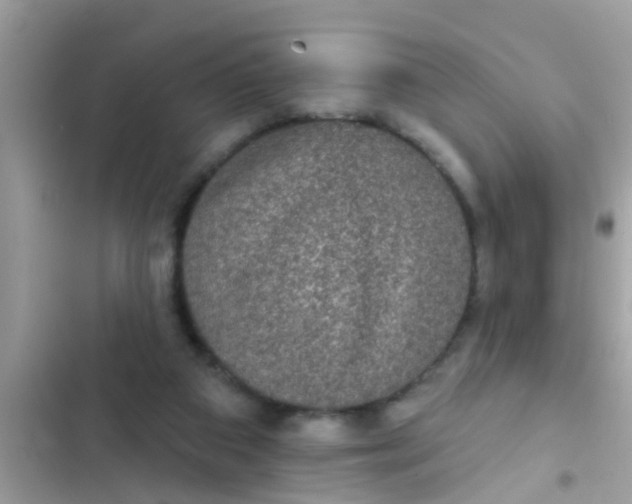 X0000102400113200808151952