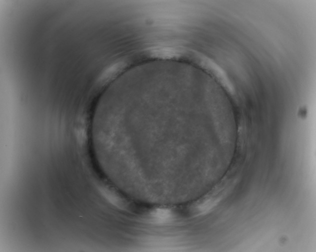 X0000102400114200808151952