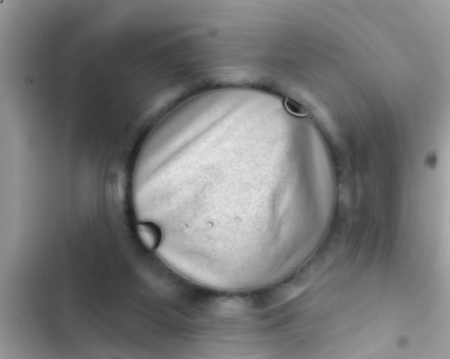 X0000102400115200808151952