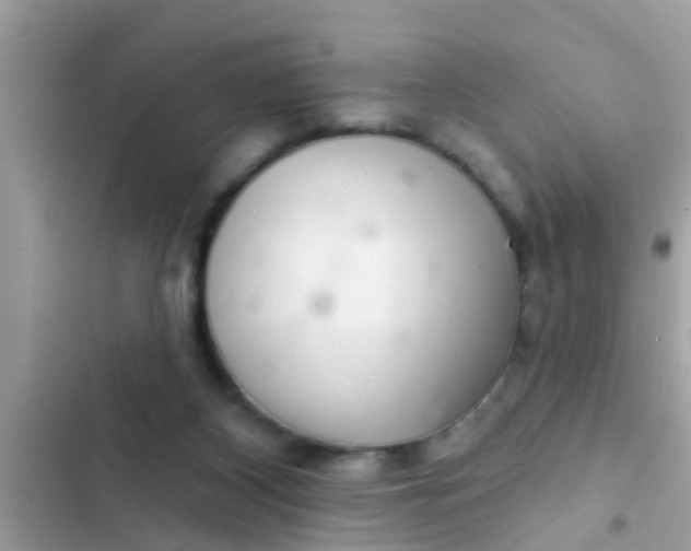 X0000102400116200808151952