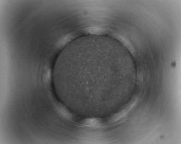 X0000102400117200808151952