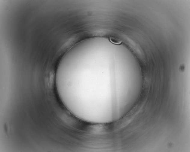 X0000102400118200808151952