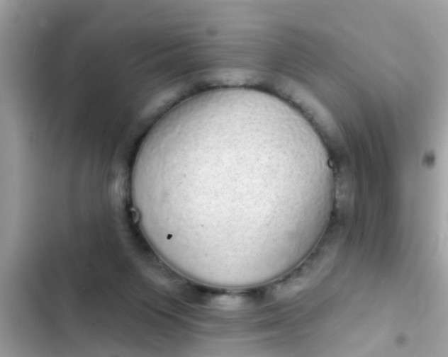 X0000102400119200808151952