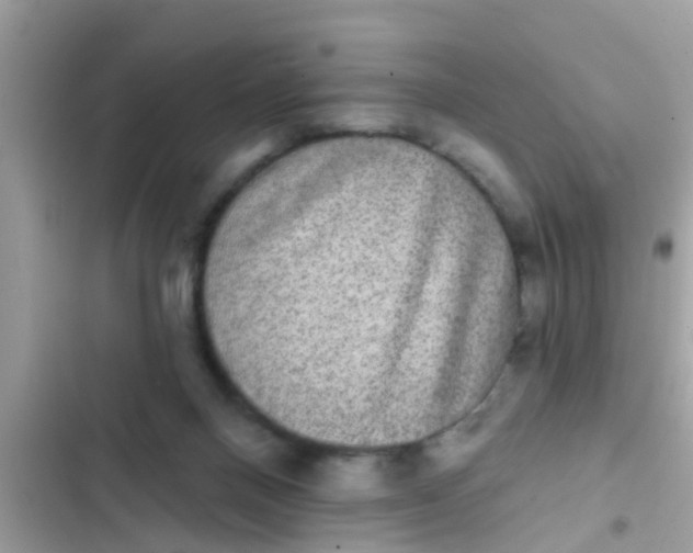 X0000102400120200808151952