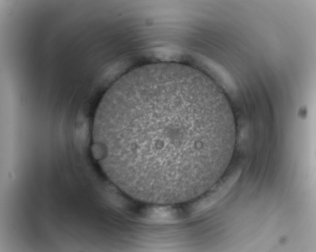 X0000102400121200808151952