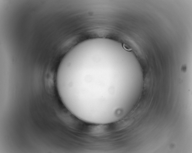 X0000102400122200808151952