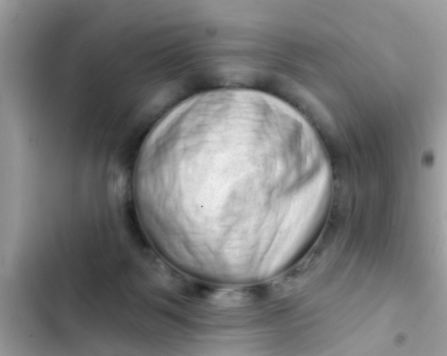 X0000102400123200808151952