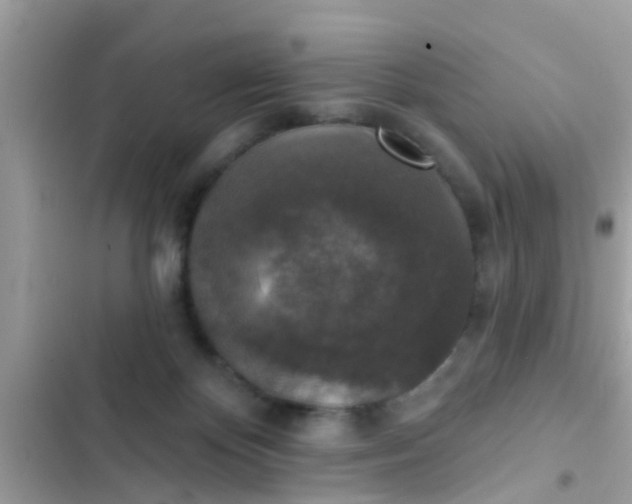 X0000102400124200808151952