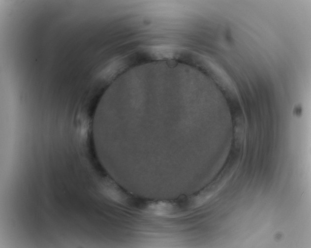 X0000102400125200808151952