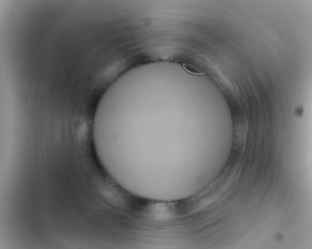 X0000102400126200808151951