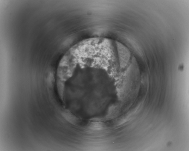 X0000102400127200808151951