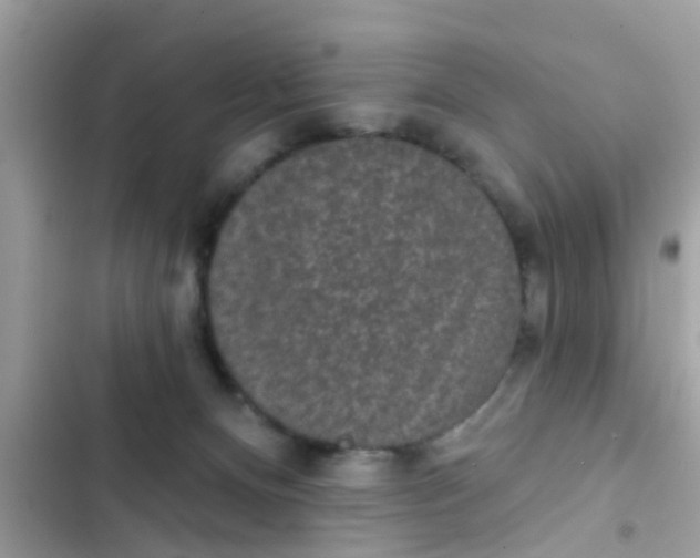 X0000102400128200808151951