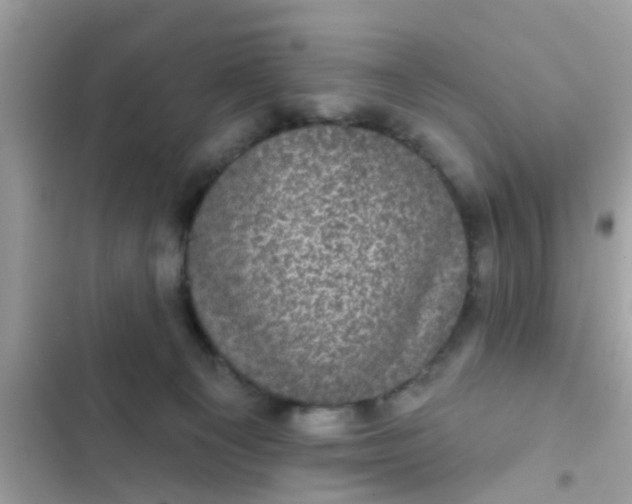 X0000102400129200808151951