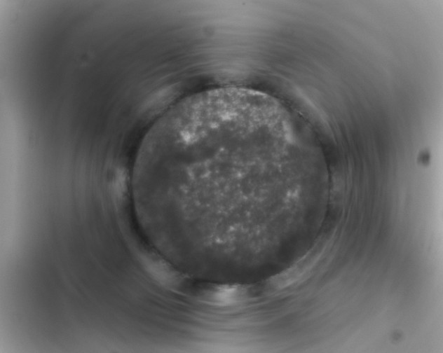 X0000102400130200808151951