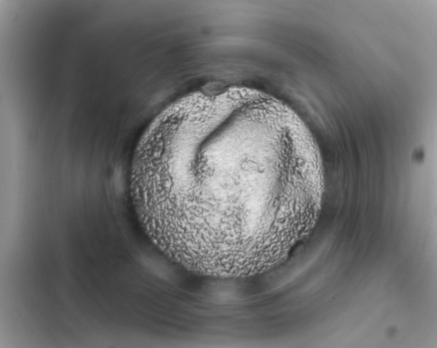 X0000102400131200808151951