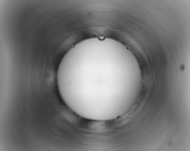 X0000102400132200808151951