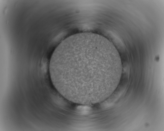 X0000102400133200808151951