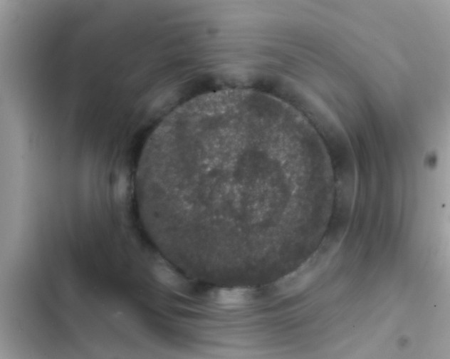 X0000102400134200808151951