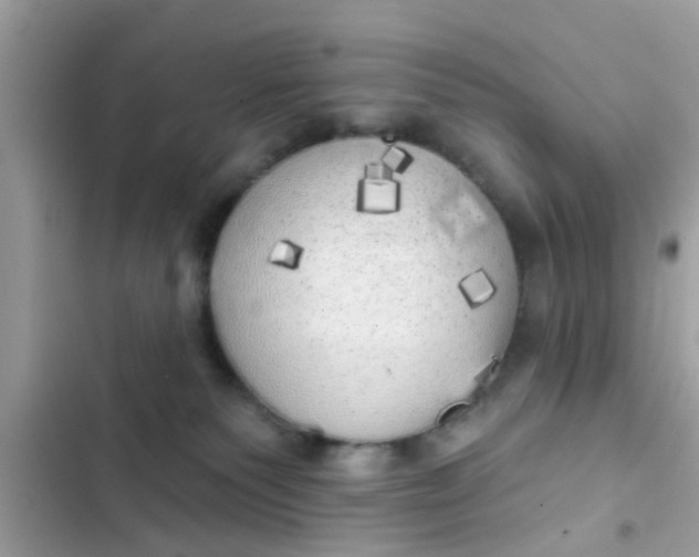 X0000102400135200808151951