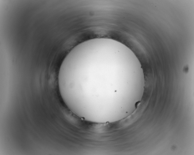 X0000102400136200808151951