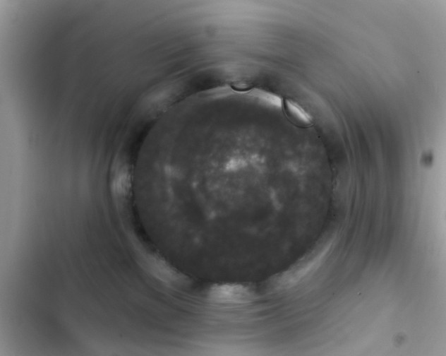 X0000102400137200808151951