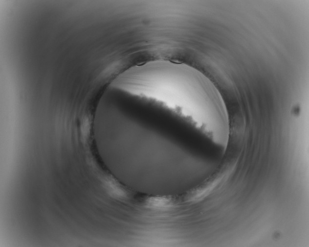 X0000102400139200808151951